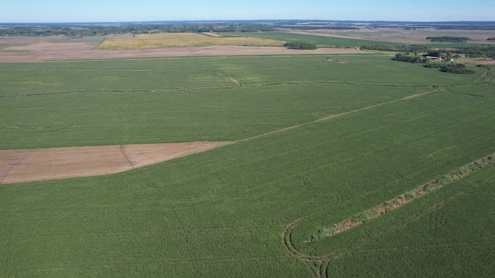 Unique Investment Opportunity In Paraguay 2508 Hectares Prime Cropping